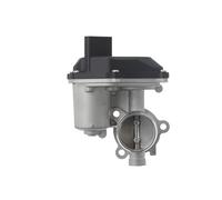 Valeo Valvola Ricircolo Gas Scarico-EGR 703202