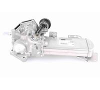 Vemo Valvola EGR V10-63-0048 compatibile con VW 03L131512DT