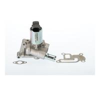 Valvola aria secondaria elettrico 710831D BorgWarner (Wahler) per OPEL ASTRA H