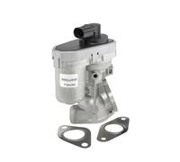 BorgWarner 710925R Valvola EGR