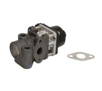 Valvola EGR WAHLER 711024D