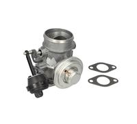 Valvola EGR WAHLER 7187D