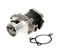 Valvola EGR WAHLER 7610D