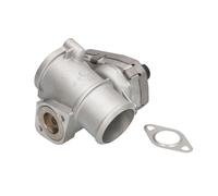 Valvola EGR WAHLER WA710942D/1