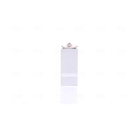 Valvola Espansione Aria Condizionata NISSENS per Mercedes-Benz W202 Classe A