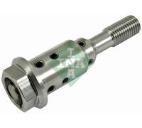 Valvola centrale, regolazione albero a camme INA 427 0038 10