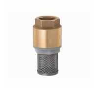 Valvola Fondo 32mm York di Non Ritorno Componenti Sistema Acqua Giardino Top