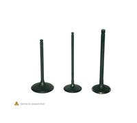 Valvola In Acciaio Prox Ø33.00 Lunghezza 102.80 ØCollo 5.50 Ammissione Per Moto