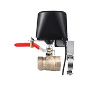 Valvola intelligente Wifi dell'acqua 12V elettrica automatica for rubinetto Piscina Lavoro Casa(Zigbee Valve)