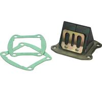 VALVOLA LAMELLARE MOTORE POLINI 100