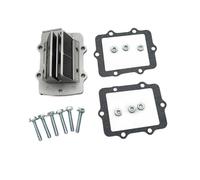 VALVOLA LAMELLARE Sistema Di Valvole Lamellari Adatto Per Polaris 350L, Xpress 400L E Collettore Di Aspirazione Della Valvola Del Carburatore
