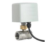 Valvola motorizzata in acciaio inox 1/2 3/4 1 2 pollici 220 V 12 V 24 V 3 fili 2 comandi valvola a sfera elettrica grande coppia 1 pezzi(1/2",220VAC)