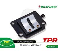 VALVOLA PACCO LAMELLARE LAMELLE TOP TPR MINARELLI VERTICALE NEXT GENERATION 50
