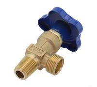 Valvola per bombola di gas Argon, piccola valvola di sicurezza WP-15 con corpo in acciaio con testa in rame per controllo del gas di saldatura (testa della bottiglia a denti piccoli)