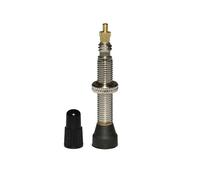 Valvola per pneumatici tubeless P2R Presta Argenté