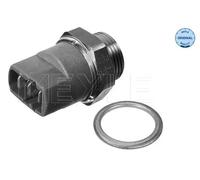 Valvola pressione olio 100 959 8717 MEYLE per VW AUDI