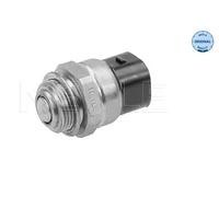 MEYLE Termocontatto, Ventola radiatore compatibile con AUDI FORD SEAT SKODA VW