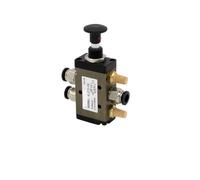 Valvola push-pull a 5 vie e 2 posizioni Serie 4L Valvola di controllo pneumatica 4L110-06 / 4L210-08 / 4L310-10 / 4L410-15(With 10mm Fittings,4L110-06)
