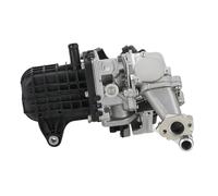 Valvola Ricircolo Gas EGR Per Ford Per S-MAX Per Mondeo Per Kuga Per Focus Per C-Max Modulo Valvola EGR Raffreddatore 9807593080 167982828