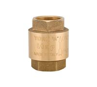 Valvola Ritegno Non Ritorno York Itap 4 DN100 8BAR 116PSI