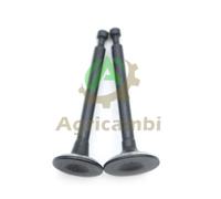 Valvola scarico e aspirazione per motore Honda GX 35 decespugliatore pompa 4T
