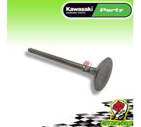 VALVOLA SCARICO EXHAUST ORIGINALI KAWASAKI KX 250 F 2009 2010 2011 2012 2013