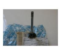 Valvola scarico Exhaust valve Piaggio Porter diesel 1400