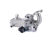 Valvola Scarico Motore Per Nissan Navara NP300 Per Frontier Cabstar NV350 Per Pathfinder Terra 2010-2020 2021 2022 2023 2024 2025 14735-5X00B 14735-5X00A Gruppo Radiatore EGR