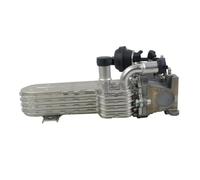 Valvola Scarico Motore PER VW 2.0L PER Golf PER Touran PER TDI 2003-2006 2007 2008 2009 2010 03G131513J 03G131512L 03G131513D Raffreddatore EGR Ricircolo Dei Gas Scarico