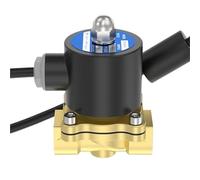 Valvola solenoide dell'Acqua normalmente Chiusa da 2 W, Interruttore di Controllo in Rame, 24 V/220 V, Punti, 3, 4, 6, 1 Pollice inl(4 Minutes 24V)