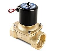 Valvola solenoide in ottone normalmente chiusa da 1/2" 3/4" 1" 2" pollici 220 V CA 110 V CA 24 V CC 12 V CC 24 V CA ad azione diretta for acqua, gas, olio(220vac,1 Inch)