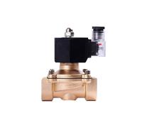 Valvola solenoide in ottone normalmente chiusa da 1 pollice Serie 2T Gas di petrolio liquefatto Gas naturale DN25 Interruttore Valvole dell'acqua 220V 24V 12V (BSP-24VDC)