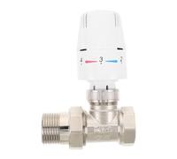 Valvola Termostatica Auto Regolante Dn25 in Ottone per Acqua Calda | Intervallo 35℃-55℃, Finitura Argento, Feedback Termico Immediato, per Impianti Idraulici e Locali Ospitalieri