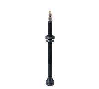 Valvola tubeless (2 pezzi) - 80 mm