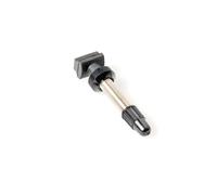 Valvola tubeless DT Swiss ( Argento / 40 mm )