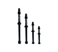 Valvola tubeless Vittoria (x2) Gris