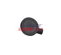 Valvola Ventilazione Carter Fast FT04336 per VW