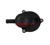 Valvola Ventilazione Carter Fast FT60003 per Citroën Iveco Fiat