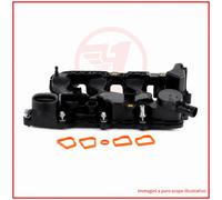 NTY BPZ-CT-012 Coperchio punterie