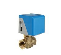 Valvole a globo elettriche in ottone bidirezionali da 1/2" 3/4" 1 pollice Valvola di intercettazione motorizzata a 2 fili 220V(1",220VAC)