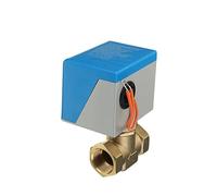Valvole a globo elettriche in ottone bidirezionali da 1/2" Valvola di intercettazione motorizzata a 2 fili da 220 V(110VAC)