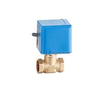 Valvole a globo elettriche motorizzate in ottone da 3/4" Valvola di intercettazione bidirezionale AC220V a 2 fili(220VAC)
