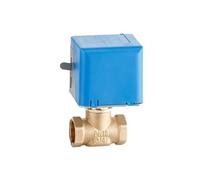 Valvole a globo in ottone motorizzato da 3/4 pollici 2 fili AC220V 1Pc(220VAC)