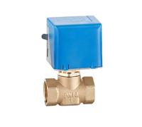 Valvole a globo motorizzate in ottone elettrico da 1 pollice 2 fili AC220V valvola di arresto bidirezionale 1 pz (24 VAC)