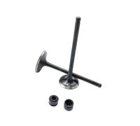 Valvole di aspirazione e scarico con paraolio compatibili con il kit di sostituzione del motore UTV HS250 250 250CC 14711-013-0000