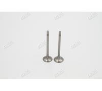 Valvole Di Ingresso 2X VW Audi 03L109601 04L109601 CFFA CFCA CEGA CCHA