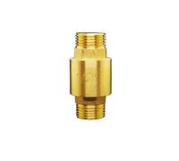Valvole di ritegno 1/2 3/4 1 pollice BSP Filettatura maschio Ottone Valvola a molla sollevamento verticale non ritorno unidirezionale for acqua(1/2 inch)