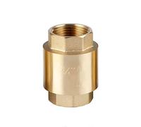 Valvole di ritegno 1 paio 1/2 pollice DN15 DN20 Valvola femmina verticale in ottone con molla in linea(DN15)