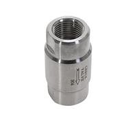 Valvole di ritegno 1pc 1/8 1/4 3/8 1/2 pollici Filettatura femmina Valvole di ritegno ad alta pressione in acciaio inossidabile 304 Valvola unidirezionale for acqua gas DN6 DN8 DN10(3/8 Inch)