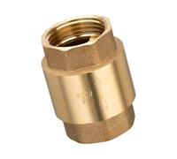 Valvole di ritegno in ottone montate verticalmente 1 pollice Costruzione a parete pesante resistente alla temperatura Per prodotti chimici sanitari uso industriale valvole di ritegno in ottone